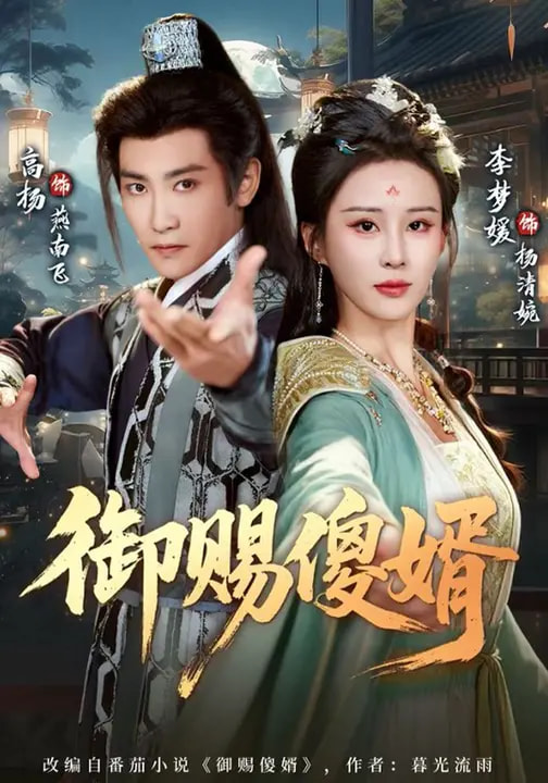 御赐傻婿 海报