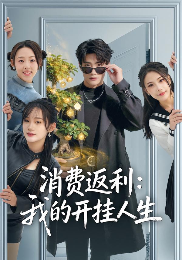 消费返利:我的开挂人生 海报