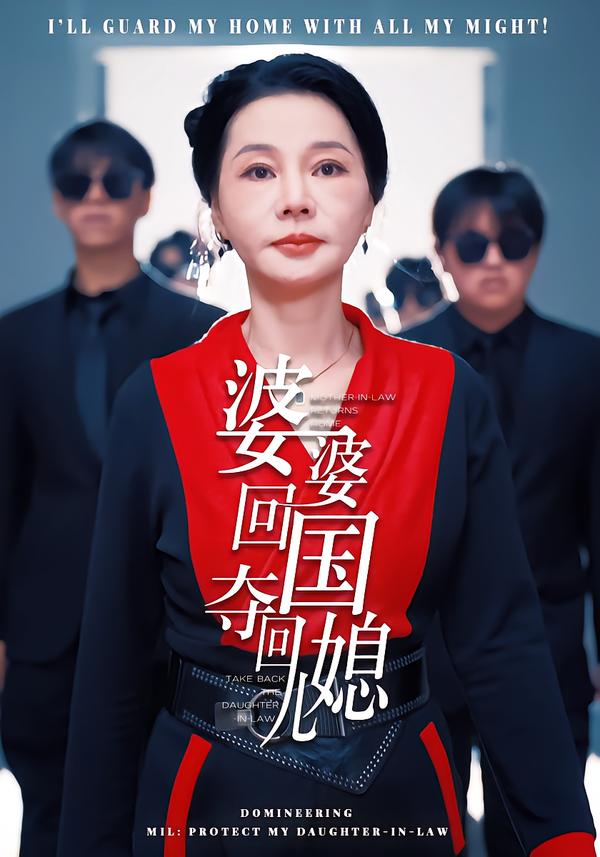 婆婆回国，夺回儿媳 海报