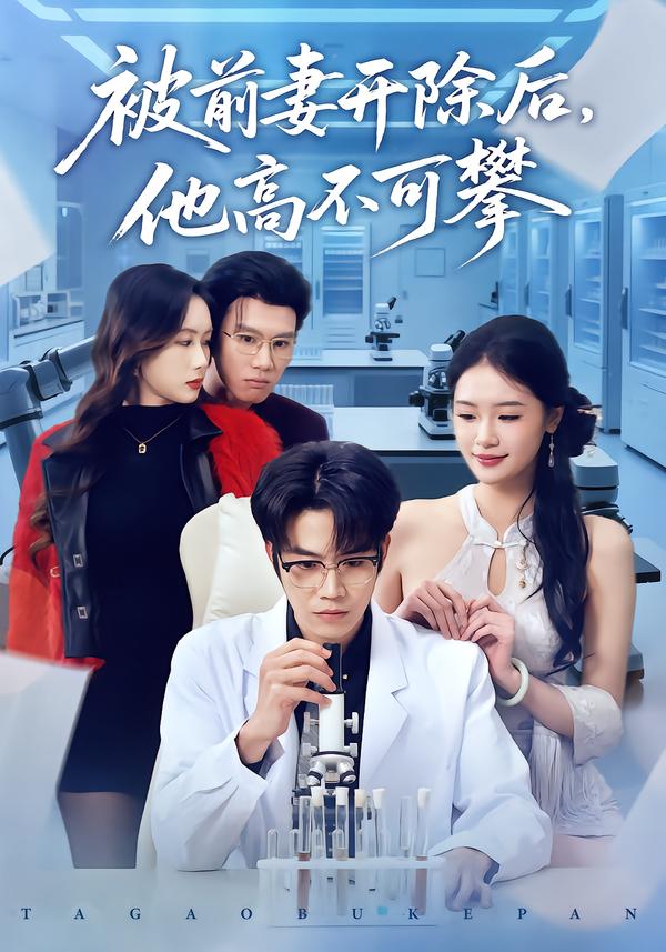 被前妻开除后,他高不可攀 海报
