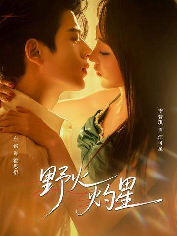 野火灼星 poster