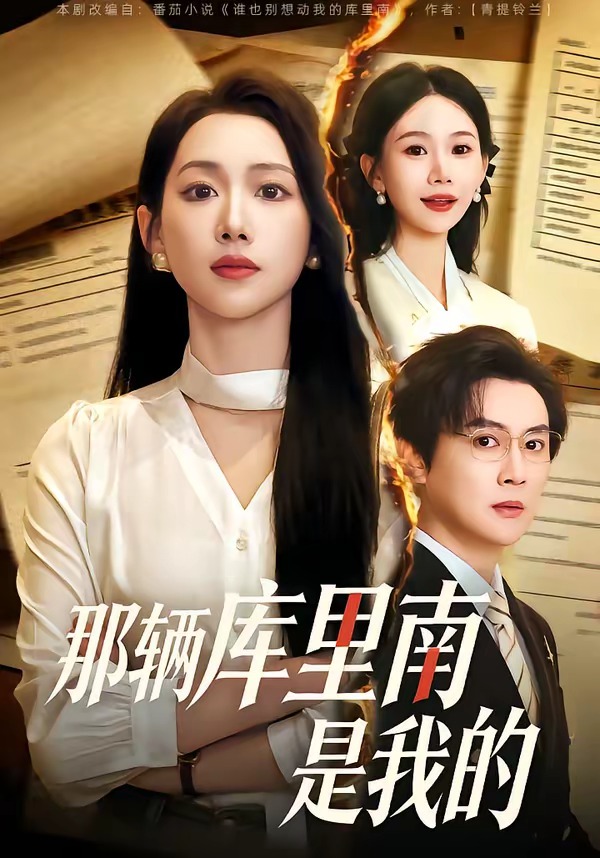 那辆库里南是我的