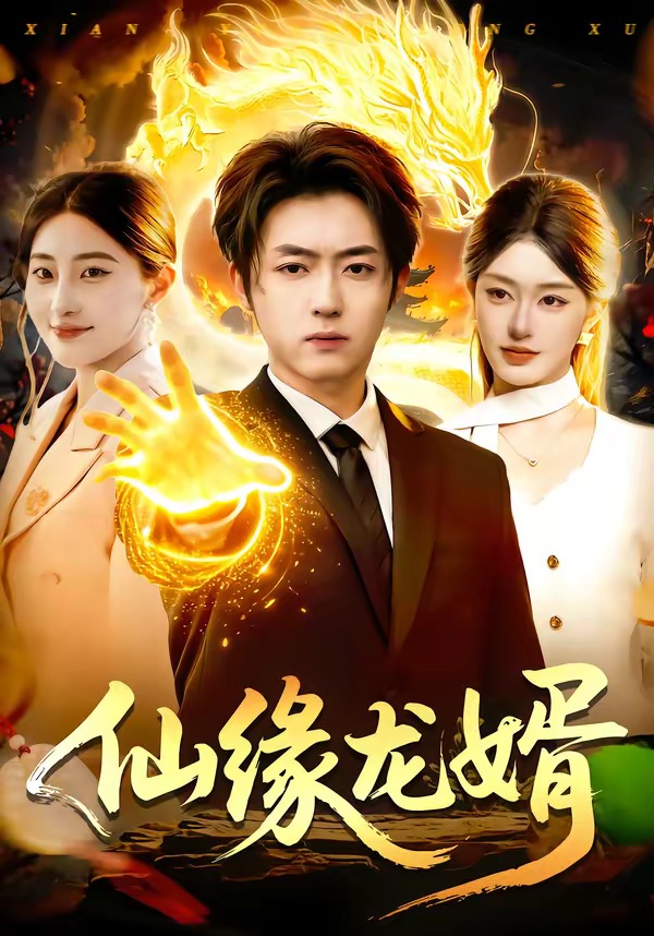 仙缘龙婿