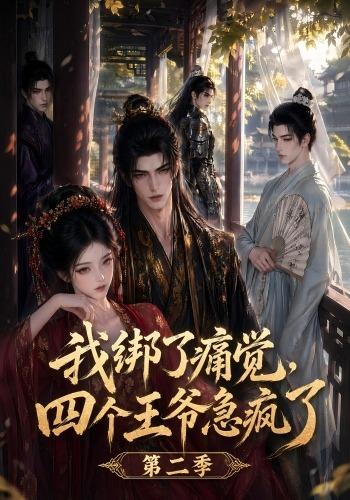 我绑了痛觉,四个王爷急疯了第二季海报