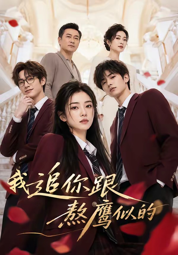 我追你跟熬鹰似的