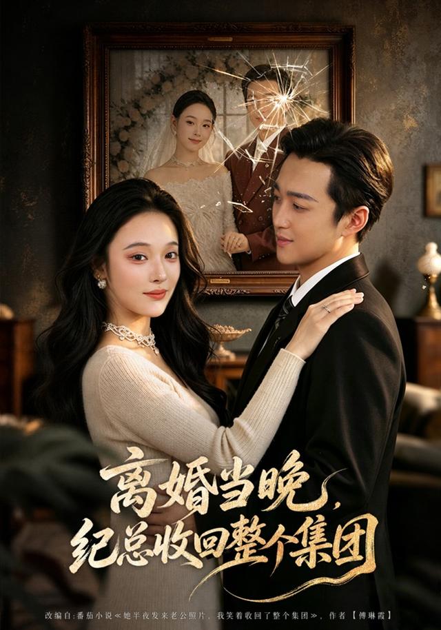 离婚当晚纪总收回整个集团封面图