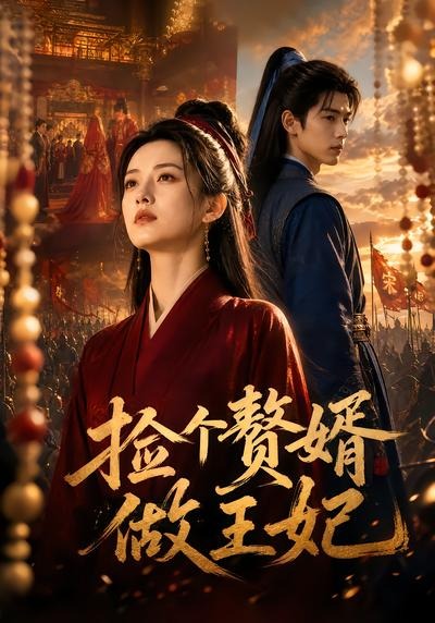 捡个赘婿做王妃