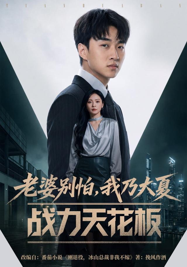 老婆别怕我乃大夏战力天花板封面图
