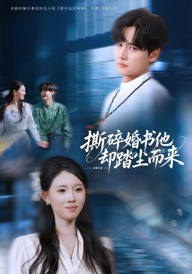 撕碎婚书他却踏尘而来封面图