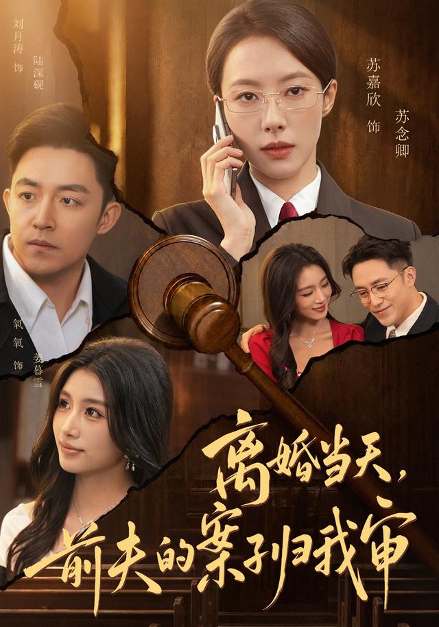 离婚当天前夫的案子归我审封面图