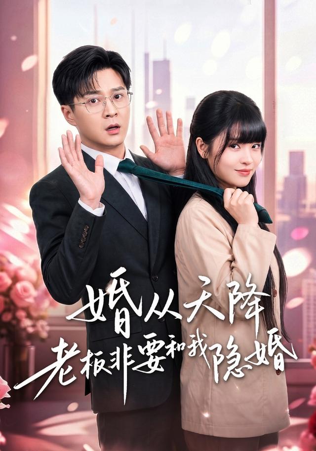 婚从天降老板非要和我隐婚封面图