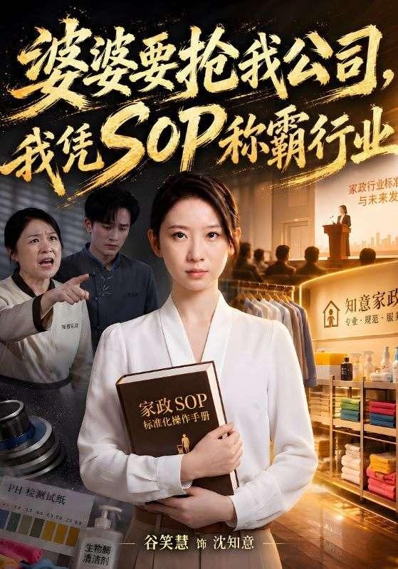 婆婆要抢我公司我凭SOP称霸行业封面图