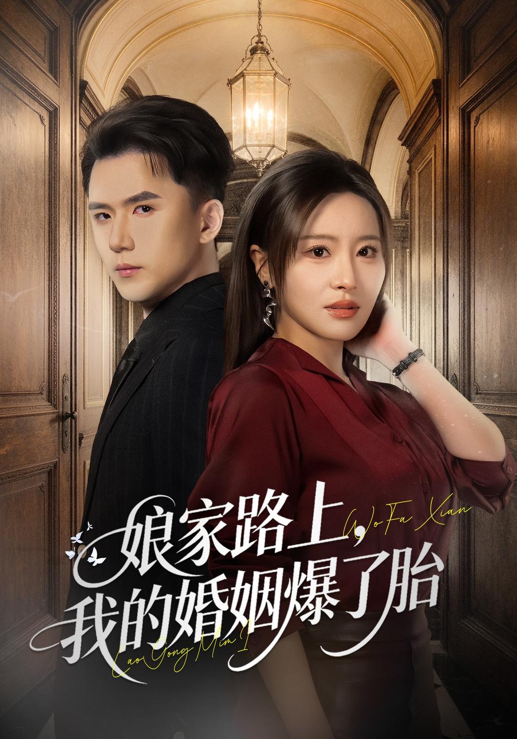 娘家路上我的婚姻爆了胎封面图