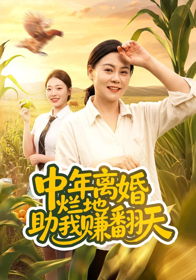 中年离婚烂地助我赚翻天封面图