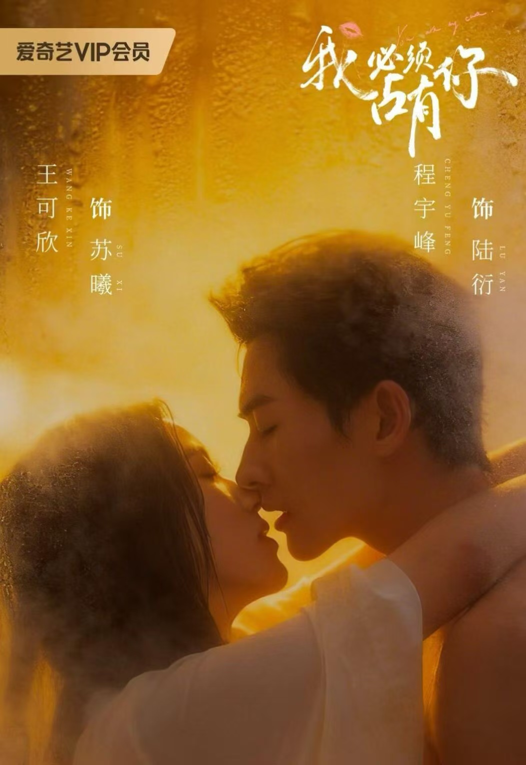 我必须占有你的封面图